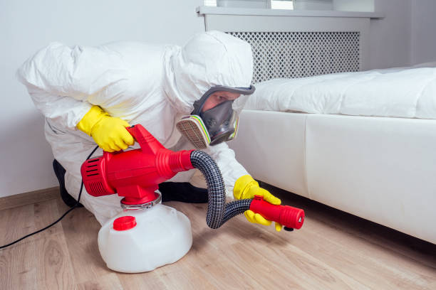 Emergency Pest Control Services in Centreville, VA